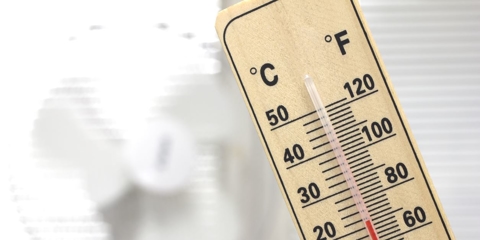 Preparing Your Home for Spring Photo